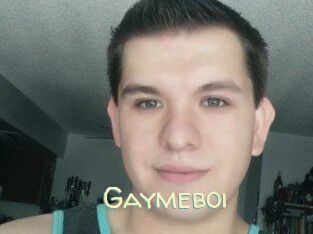 Gaymeboi