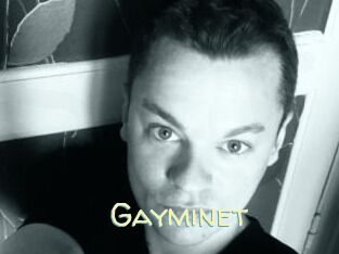 Gayminet