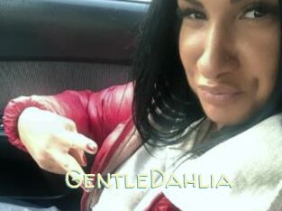 GentleDahlia