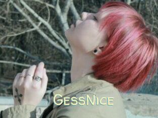GessNice