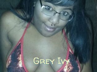 Grey_Ivy