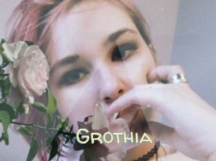 Grothia