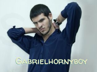 Gabrielhornyboy