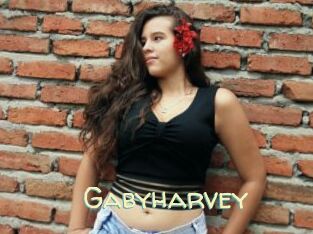 Gabyharvey