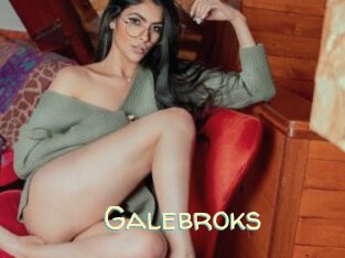 Galebroks
