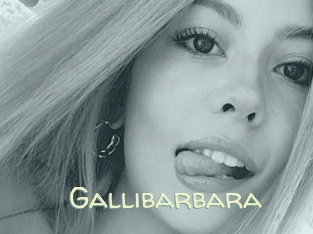 Gallibarbara