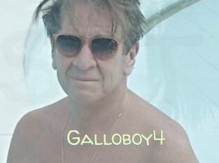 Galloboy4