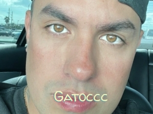 Gatoccc
