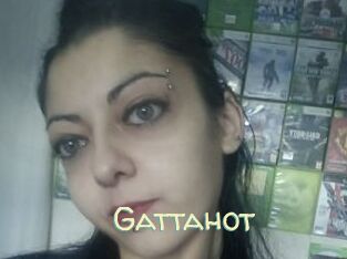 Gattahot