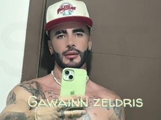 gawainn_zeldris Sexy Tchat
