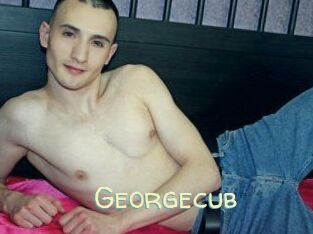 Georgecub