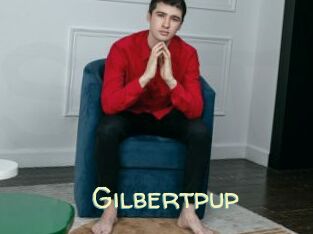Gilbertpup