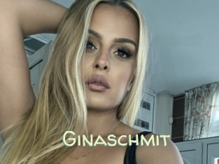 Ginaschmit