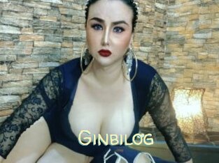 Ginbilog