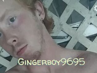 Gingerboy9695