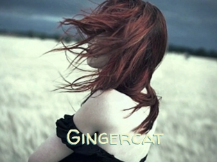 Gingercat