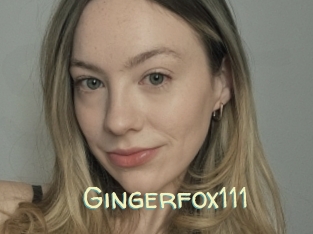 Gingerfox111