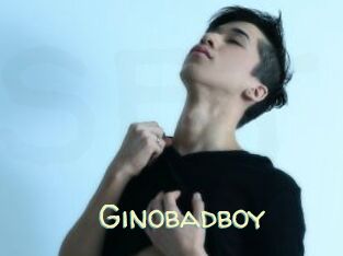Ginobadboy
