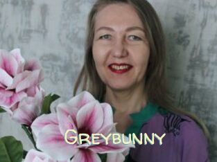 Greybunny