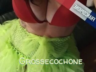 Grossecochone