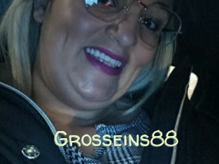 Grosseins88