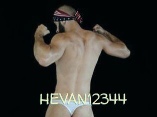 HEVAN12344