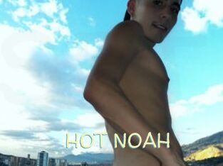HOT_NOAH