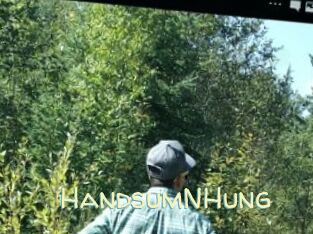 HandsumNHung