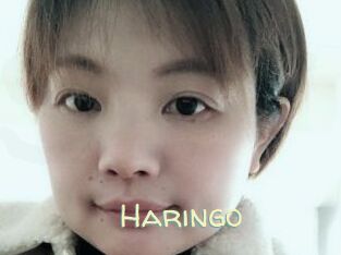 Haringo