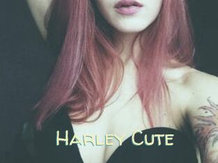 Harley_Cute