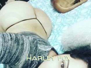 Harley_fox