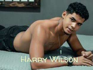 Harry_Wilson Sexy Tchat