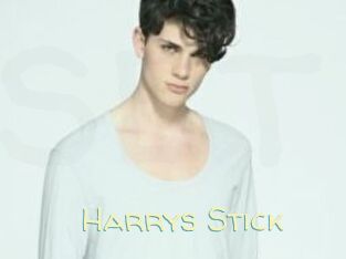 Harrys_Stick