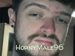 HornyMale96