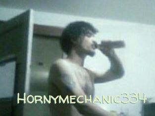 Hornymechanic334