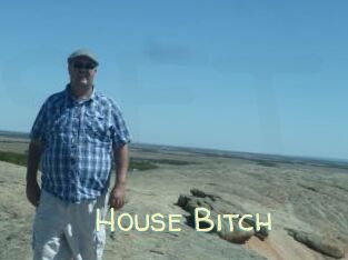 House_Bitch