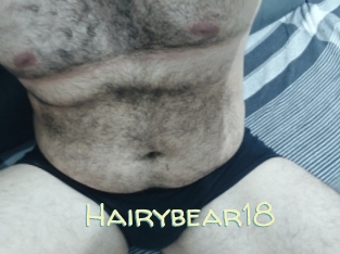 Hairybear18