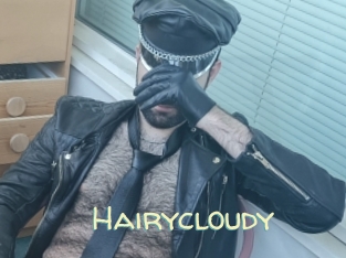 Hairycloudy