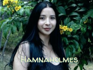 Hamnaholmes