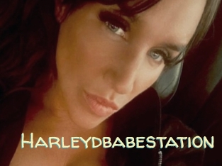 Harleydbabestation