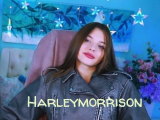 Harleymorrison