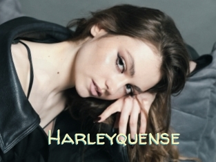 Harleyquense