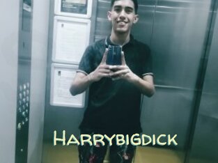 Harrybigdick