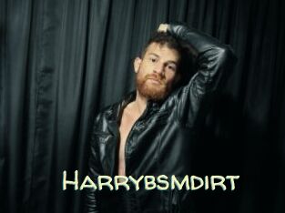 Harrybsmdirt