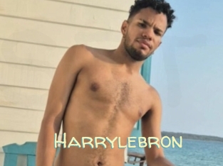 Harrylebron