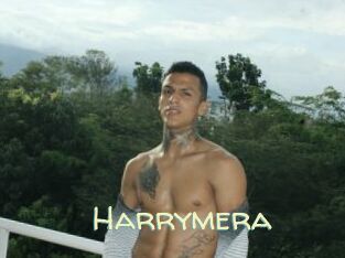 Harrymera