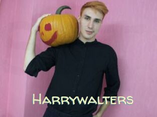 Harrywalters