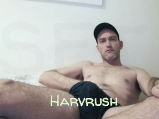 harvrush Sexy Tchat