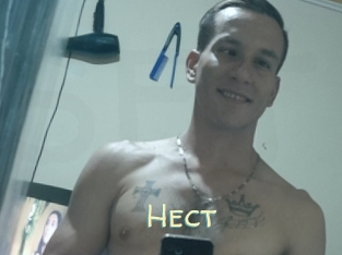 Hect