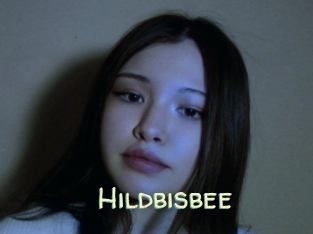 Hildbisbee